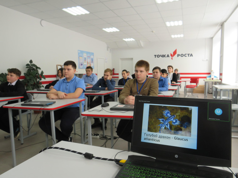 «Биология опровергает математические законы: деление ведёт к умножению».