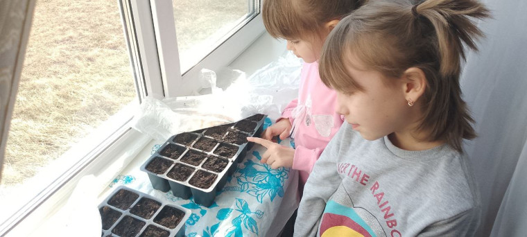Весеннее пробуждение природы: Цветочные клумбы на пришкольном участке или «Огород на окне».