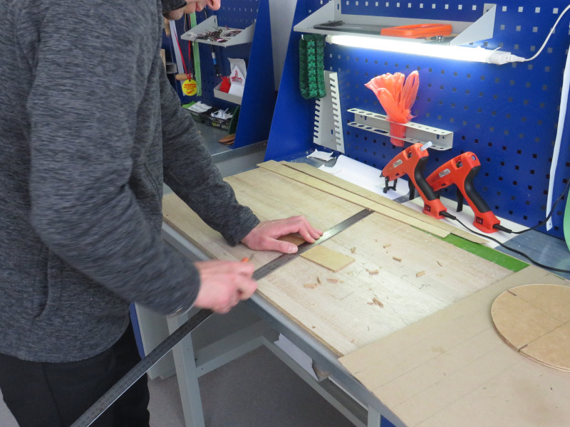 РЕГИОНАЛЬНАЯ ЭКОЛОГО-ПРОСВЕТИТЕЛЬСКАЯ АКЦИЯ «С ЗАБОТОЙ О ЗИМУЮЩИХ ПТИЦАХ».