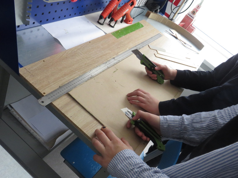 РЕГИОНАЛЬНАЯ ЭКОЛОГО-ПРОСВЕТИТЕЛЬСКАЯ АКЦИЯ «С ЗАБОТОЙ О ЗИМУЮЩИХ ПТИЦАХ».