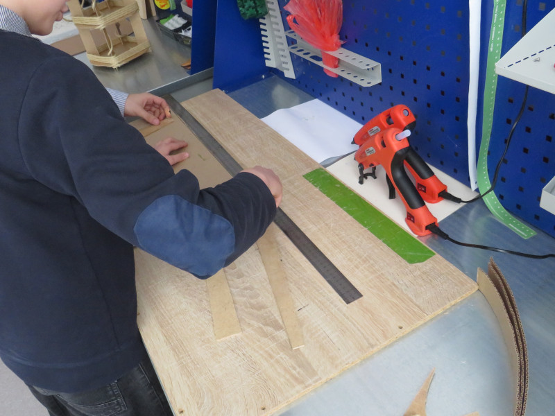 РЕГИОНАЛЬНАЯ ЭКОЛОГО-ПРОСВЕТИТЕЛЬСКАЯ АКЦИЯ «С ЗАБОТОЙ О ЗИМУЮЩИХ ПТИЦАХ».