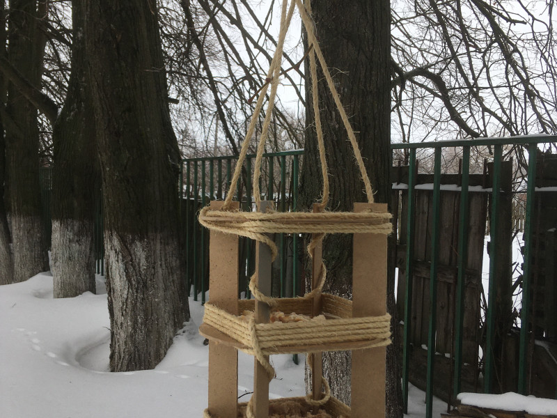 РЕГИОНАЛЬНАЯ ЭКОЛОГО-ПРОСВЕТИТЕЛЬСКАЯ АКЦИЯ «С ЗАБОТОЙ О ЗИМУЮЩИХ ПТИЦАХ».